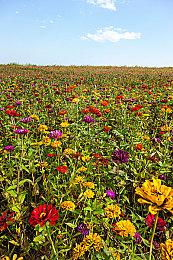 《怪物猎人：物语》新预告 6月14日发售